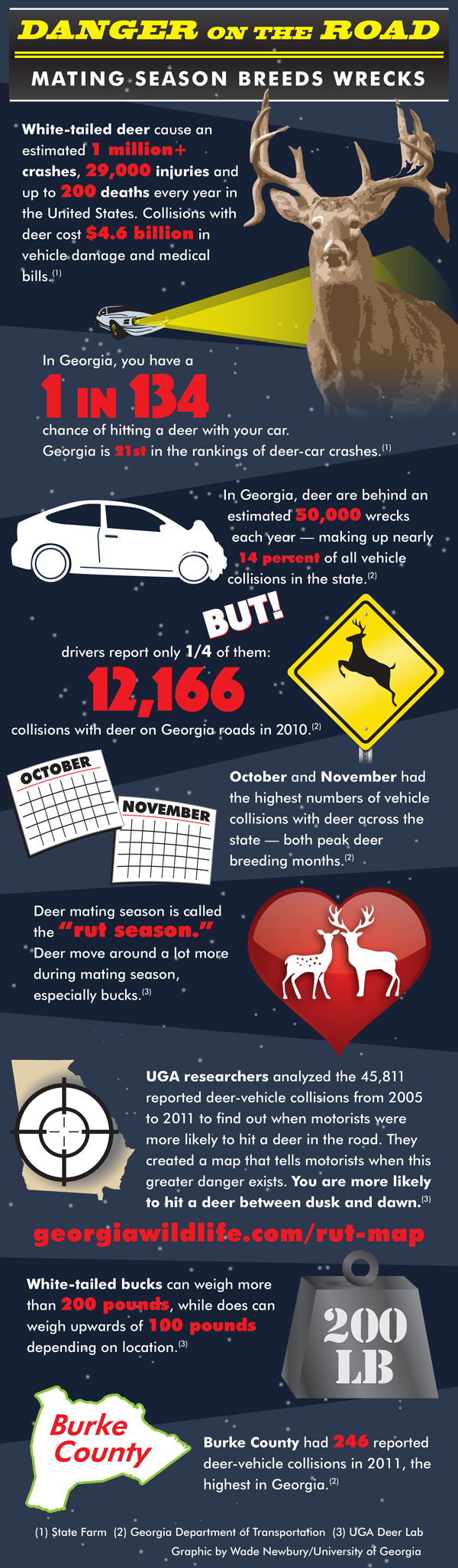 Deer-Vehicle-Collisions-Infographic