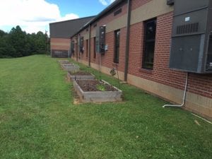 Raised boxes used to grow vegetables at West Fannin Elementary School