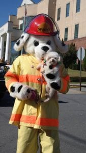 sparky