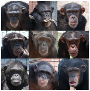 The eight new retirees who moved to Fannin.