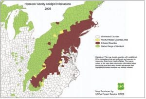 Extent of infestation throughout the Appalachians. Green is the location of hemlock forests; brown is where infestations are.