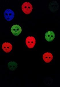 Can you spot the mask hiding the human?