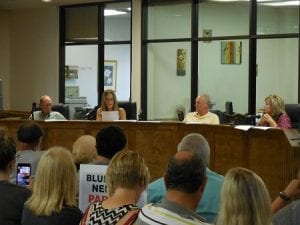 Blue Ridge City Council, Special Meeting, Angie Arp, protestors, three hour parking