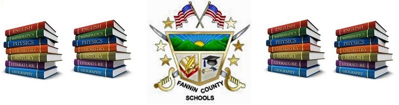 Blue Ridge, Fannin County, Georgia, Board of Education, GEMA, FEMA, Michael Ruple, EMA Director Robert Graham, Lt. Darvin Couch