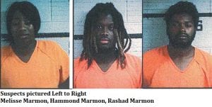 Blue Ridge, Fannin County, Georgia, Armed Robbery, Melisse Marmon, Rashad Marmon, Hammond Marmon, Magistrate Judge Brian Jones, District Attorney Alison Sosbee