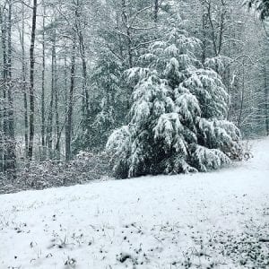 Fannin County, Blue Ridge, Mineral Bluff, Morgaton, McCaysville, Georgia, Winter Storm, Winter Weather, Snow, Fannin County Emergency Management Agency, EMA, Robert Graham, Lakewood Hwy, GA 60, GA 515, Glenda Higdon, Public Works, Zack Ratcliff, Fire Department, Larry Thomas