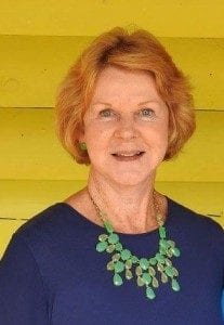Fannin County, Gerogia, Blue Ridge, General Election, Election 2018, Fannin County Board of Commissioners, Board of Education, Soil and Water Conservation, Post 2 Commissioner, Georgia Election Officials Association, GEOA, Voter Registrars Association of Georgia, VRAG, Goergia House of Respresentatives, District 7, Margaret Williamson, David Ralston, Glenn Patterson, Larry Joe Sosebee, Damon Davenport, Mary Ann Conner, Sonia Smith, Richard Stanley