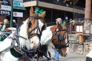 Blue Ridge, Fannin County, Georgia, St. Patrick's Day, St. Patrick's Parade, 2018, Brendan Doyle, The Boro Inn, Grumpy Old Men Brewery, Mystic Mountain Pizza, Humane Society of Blue Ridge