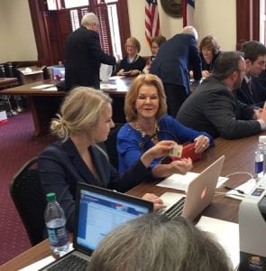 Georgia, Ellijay, Blue Ridge, Fannin, Gilmer, Dawson, Margaret Williamson, David Ralston, Georgia House of Representatives, Speaker of the Georgia House of Representatives, District 7, Republican Primary, General Election 2018, Qualifying Week