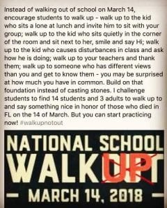 Blue Ridge, Fannin County, Georgia, Fannin County School Systems, Fannin County High School, Walk Out, Walk Up Not Out, Marjory Stoneman Douglas High School, Principal, Erik Cioffi, Acts of Kindness, Ryan Petty
