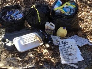 Fannin County, Blue Ridge, Georgia, Stop the Littering Campaign, Land Development, Marie Woody, Board of Commissioners