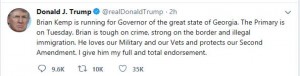 Atlanta, Georgia, President of the United States, POTUS, Donald Trump, Secretary of State, Lt. Governor, Governor, Gubernatorial, Election, 2018, Runoff, Republican Nomination, Campaign, Brian Kemp, Casey Cagle, National Rifle Association, NRA, President, President Elect, Lt. Colonel, Oliver North, Second Amendment, Stacey Abrams, Democratic, George Soros, July 24