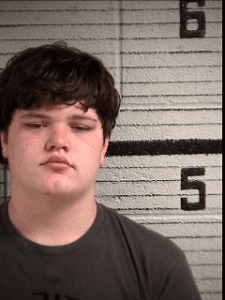 Fannin County, Georgia, Blue Ridge, Murder, 15 Year Old, 16 Year Old, Blake Dickey, Hunter Hill, Appalachian Judicial Circuit Superior Court, Judge, Brenda Weaver, Public Defender, Clint Hooker, Attorney, David Farnham, District Attorney, B. Alison Sosebee, Justin McKinney, Anna Franklin, GBI, Georgia Bureau of Investigation, Fannin County Sheriff's Office, Gainesville Regional Youth Detention Center, Elbert Shaw Regional Youth Detention Center, Fannin Regional Hospital, Drugs, Dalton Manuel, Lakota Cloer, Special Agent, Jamie Abercrombie, Dustin Hamby, Captain, Justin Turner, Investigator, John Arp, Chief Deputy, Major Keith Bosen, Elrod Lane, Maple Grove Road, Chase Havard, Kevin Chamaty, Lakota Cloer, Levi Manuel, 20 year old, bond, Grand Jury, Brian Steel, Indictment, Malice Murder, Criminal Attempt to Commit a Felony, Felony Murder, Criminal Attempt to Commit a Felony, Aggravated Assault, Aggravated Battery, Home Invasion in the First Degree, Burglary in the First Degree, Possession of a Firearm During Commission of a Felony, Violation of Racketeer Influenced and Corrupt Organizations Act, Tampering with Evidence