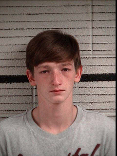 Fannin County, Georgia, Blue Ridge, Murder, 15 Year Old, 16 Year Old, Blake Dickey, Hunter Hill, Appalachian Judicial Circuit Superior Court, Judge, Brenda Weaver, Public Defender, Clint Hooker, Attorney, David Farnham, District Attorney, B. Alison Sosebee, Justin McKinney, Anna Franklin, GBI, Georgia Bureau of Investigation, Fannin County Sheriff's Office, Gainesville Regional Youth Detention Center, Elbert Shaw Regional Youth Detention Center, Fannin Regional Hospital, Drugs, Dalton Manuel, Lakota Cloer, Special Agent, Jamie Abercrombie, Dustin Hamby, Captain, Justin Turner, Investigator, John Arp, Chief Deputy, Major Keith Bosen, Elrod Lane, Maple Grove Road, Chase Havard, Kevin Chamaty, Lakota Cloer, Levi Manuel, 20 year old, bond, Grand Jury, Brian Steel, Indictment, Malice Murder, Criminal Attempt to Commit a Felony, Felony Murder, Criminal Attempt to Commit a Felony, Aggravated Assault, Aggravated Battery, Home Invasion in the First Degree, Burglary in the First Degree, Possession of a Firearm During Commission of a Felony, Violation of Racketeer Influenced and Corrupt Organizations Act, Tampering with Evidence