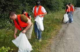 litter clean up