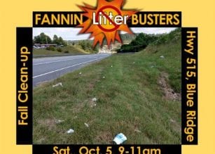 Fannin Litterbusters