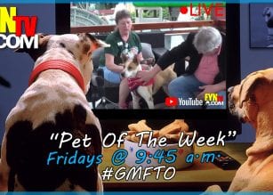 pet of the week