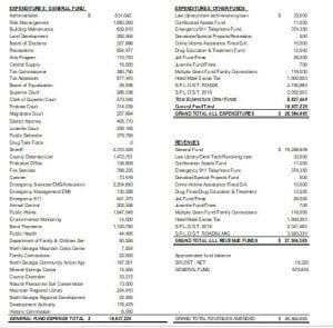 public budget hearing