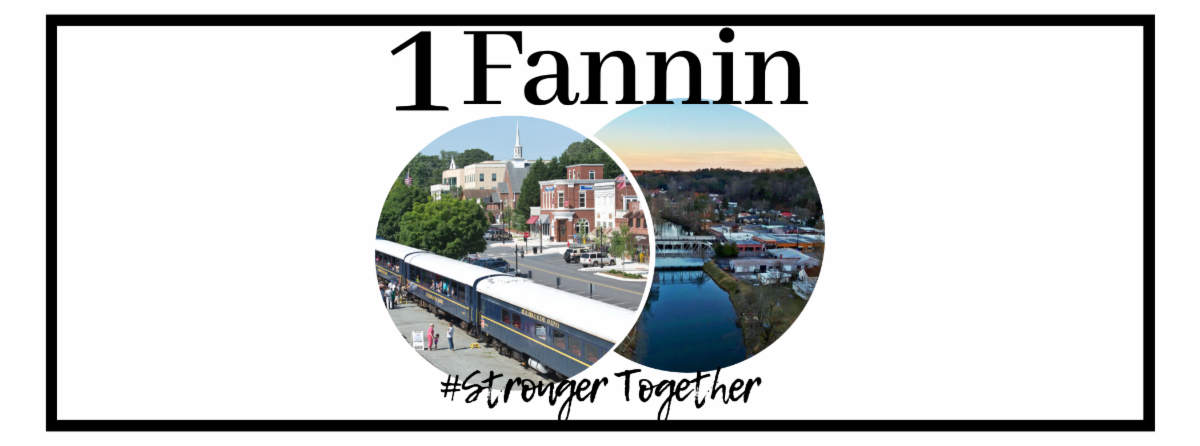 Fannin Chamber Covid