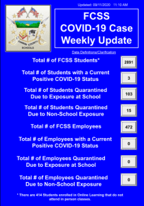 Fannin County, Georgia, Rebels, Gilmer County, Bobcats, Football, Cancelled, Covid, Covid-19, Georgia Department of Public Health, DPH, North Georgia Health District