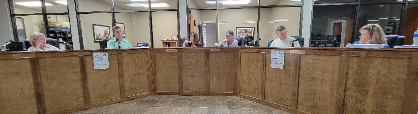 Blue Ridge, Georgia, Parking, Fannin County, City Council, Post 1, Harold Herdon, Post 2, Rhonda Haight, Post 3, Mike Panter, Post 4, Robbie Cornelius, Post 5, Nathan Fitts, Mayor, Donna Whitener, Attorney, James Balli, Executive Parking Systems, Shelli WoJohn, Bid, Process, Contract, veto
