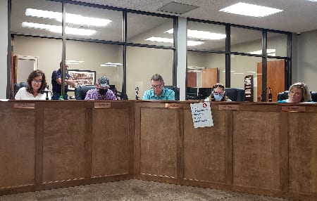 Blue Ridge, Georgia, City, Blue Coyote, Alcohol, Licenses, Closed, Hearing, Court, Council, Mayor, Donna Whitener, Municipal Judge, Robert Sneed, Petition