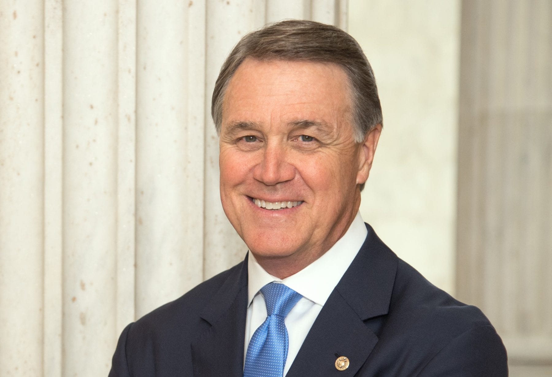 David Perdue 2022 Senate